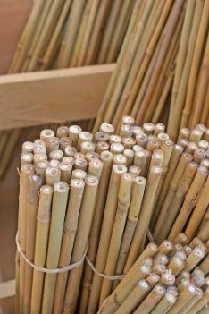 bambukäppar