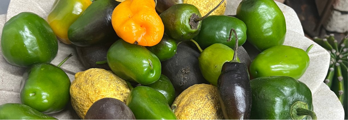 ODLARBESÖK HOS WERNER & JETTE