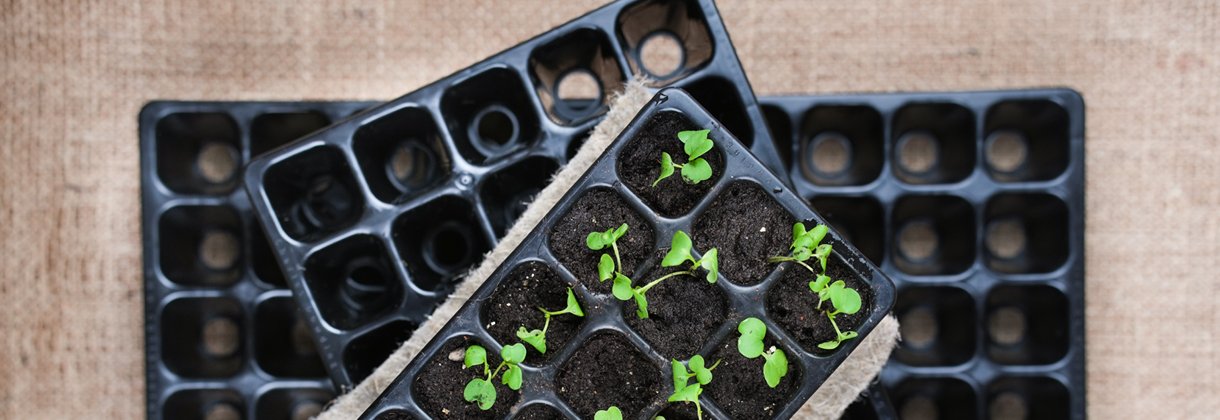 HÅLLBARA PLUGGBRÄTTEN