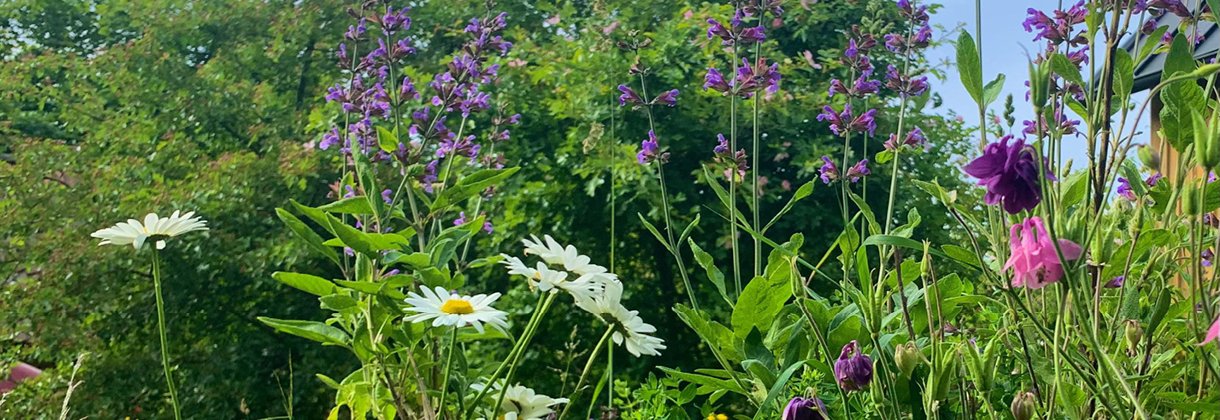 GLAD & BLOMSTRANDE ​​​​​​​MIDSOMMAR