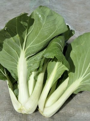 Pak choi på display