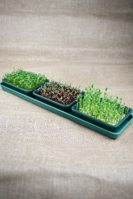 Odlingstillbehör till mikrogrönt