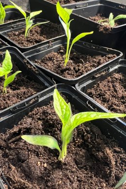 Omskola med rätt tillbehör 