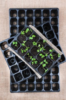 Förkultivera med rätt tillbehör 