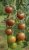 Black Cherry Tomat