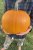 Halloweenpumpa