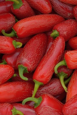 jalapeno chili