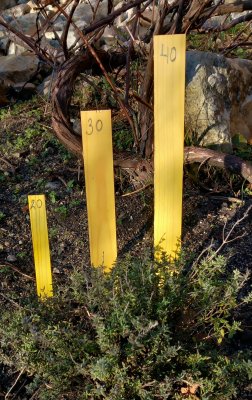 Sticketiketter av trä