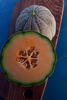 Tirreno melon