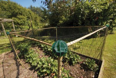 Bollar till bambukäppar