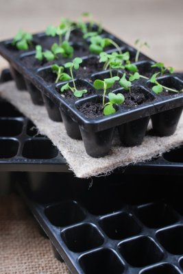 Charles Dowding pluggbrätten