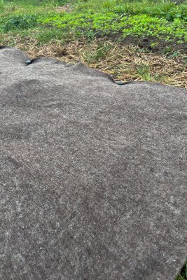 Ullmatta som marktäckning