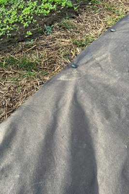 Ogräsduk