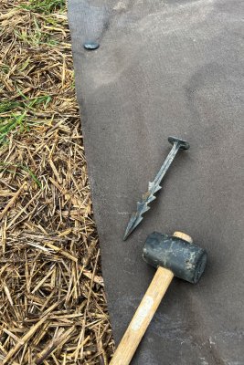 Ogräsduk förankrad med plastspik