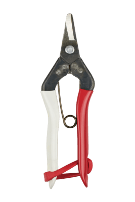 Fruktsekatör Okatsune 301