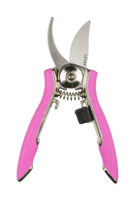 Minisekatör blomstersekatör Rosa