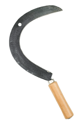 Mellan skördeskära