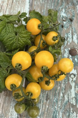 Boka, (kruktomat) demeter/ekofrö