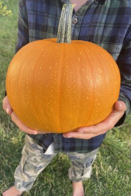 Halloweenpumpa