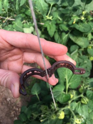 Bioclips (Bindklämma) i bioplast, 50-pack