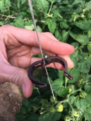 Bioclips (Bindklämma) i bioplast, 50-pack