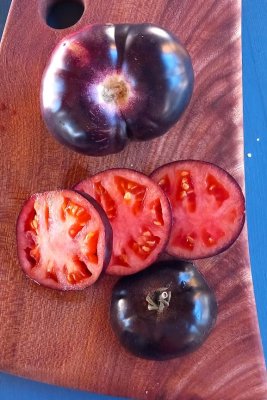 Tomat indigo apple