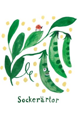 Odla Sockerärtor tillsammans