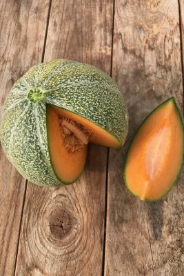petit gris melon