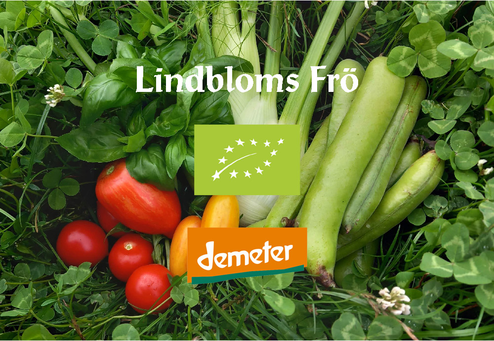 Ekologiskt och Demeter certifierat frö