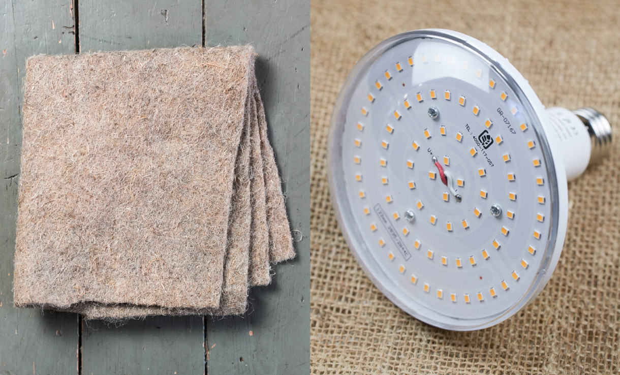 Omskolning och Omplantering